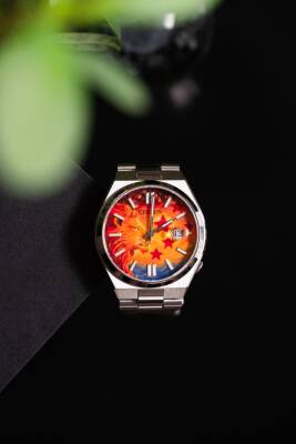 Aslan Yıldızlı Gecede - 6