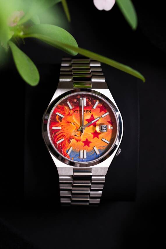 Aslan Yıldızlı Gecede - 10