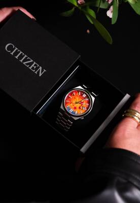 Aslan Yıldızlı Gecede - 2